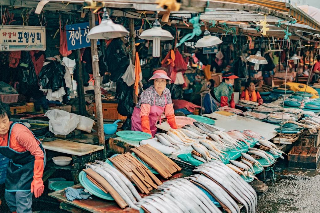 Busan - Jagalchi Market