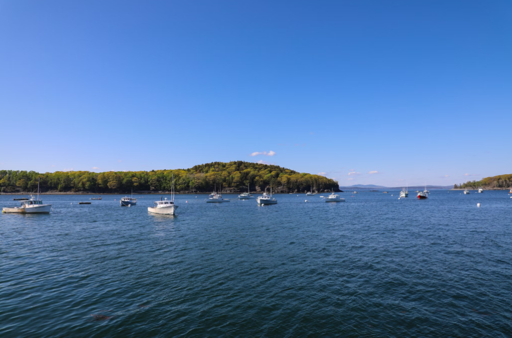 Bar Harbor