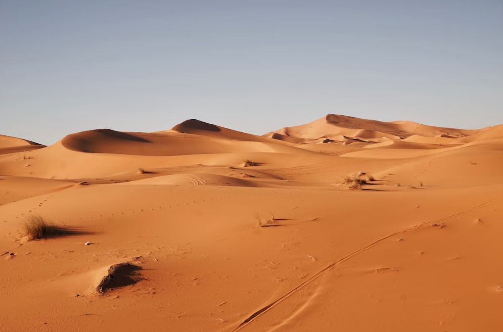 Africa - Sahara Desert