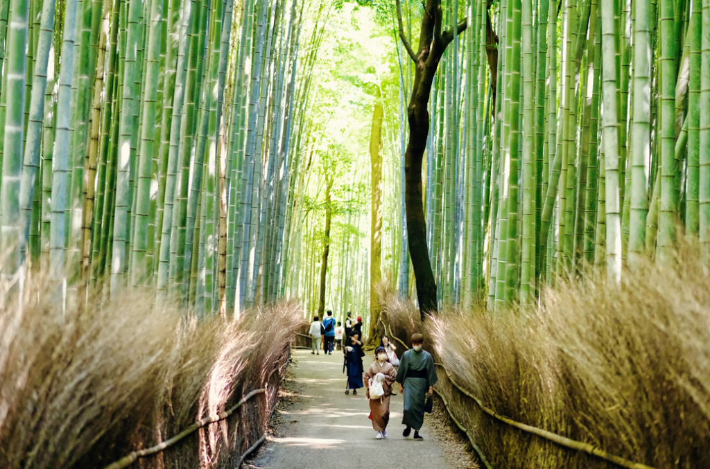 Wellness Destinations - Kyoto, Japan