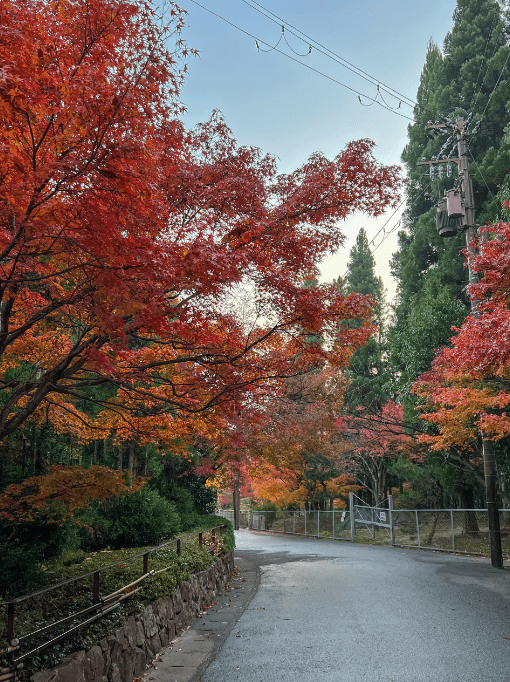 Kyoto Japan