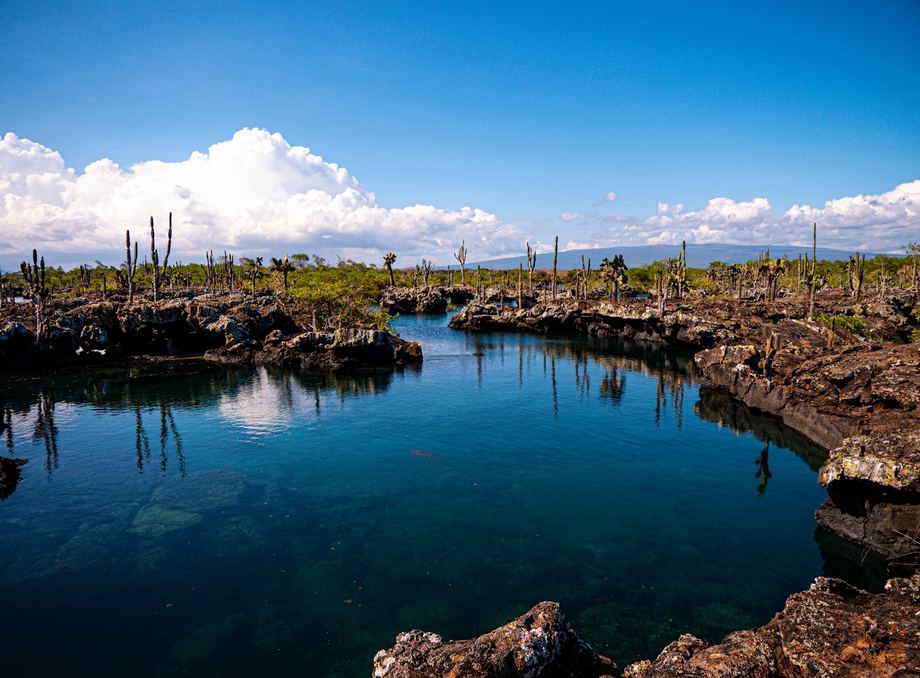 Galapagos - Isabela Island