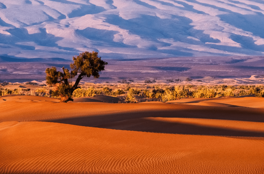 Africa - Morocco