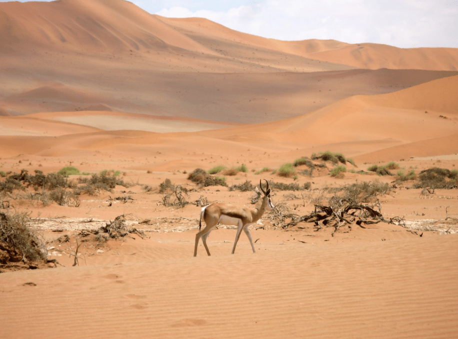 Africa - Namibia