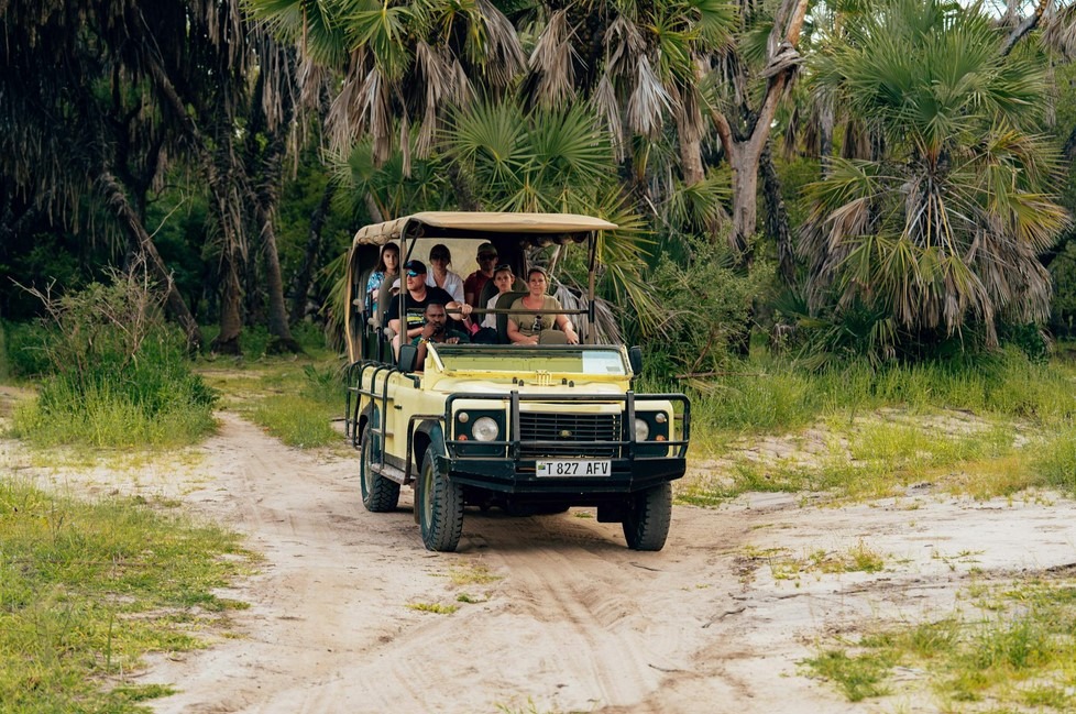 South Africa - Safari