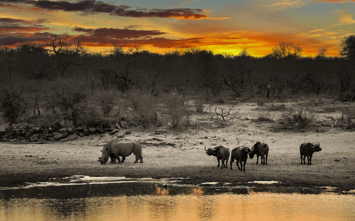 South Africa
