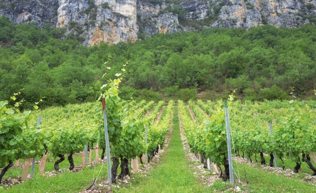 Arles - Rhone Valley