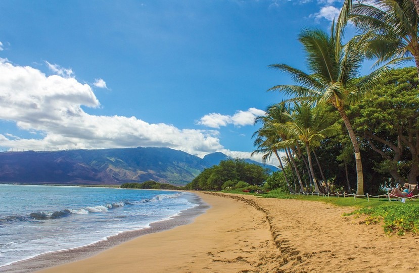 Family Vacation - Hawaii
