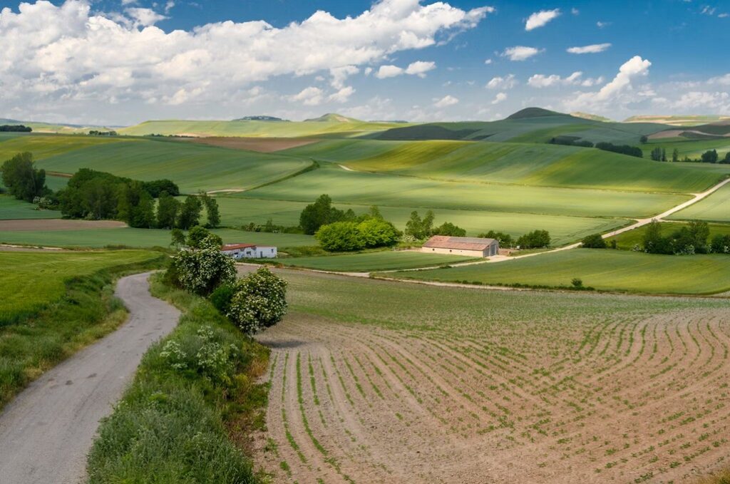 October - La Rioja