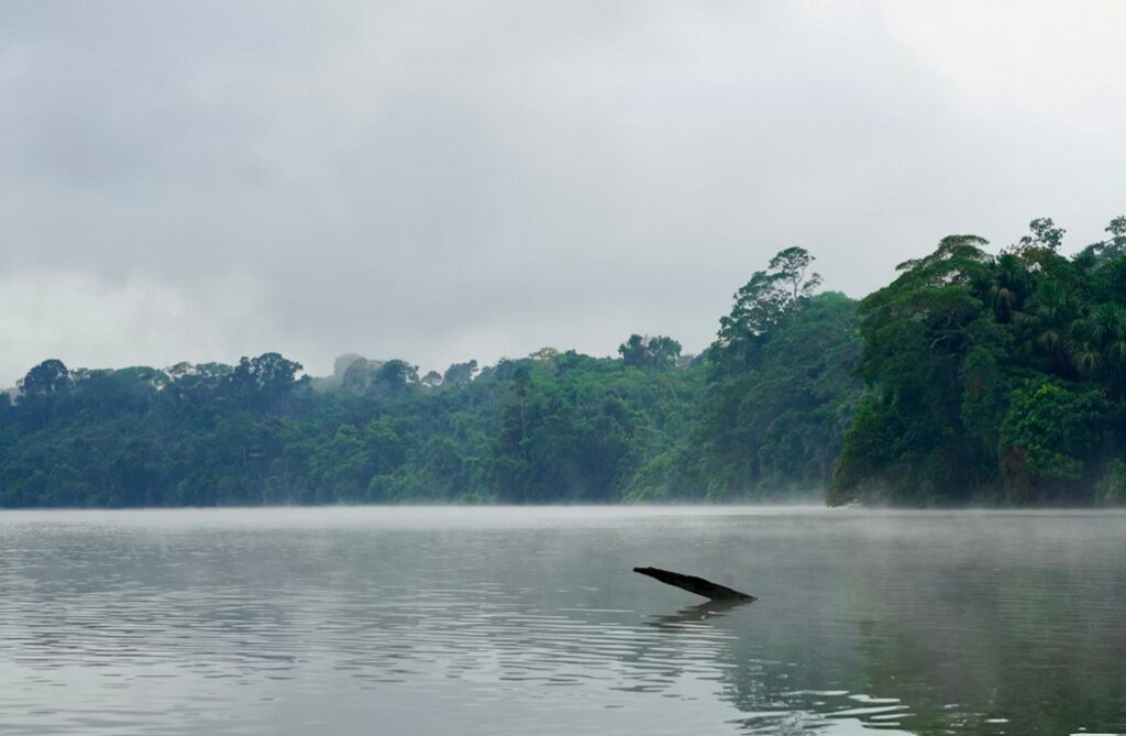 Peru - The Amazon