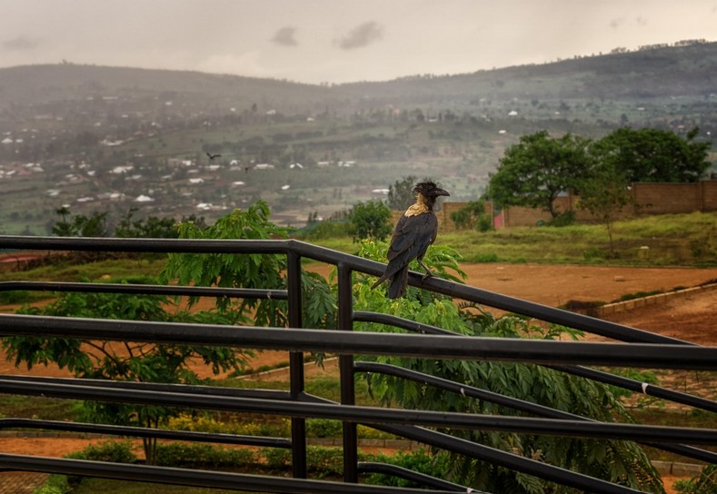 Rwanda