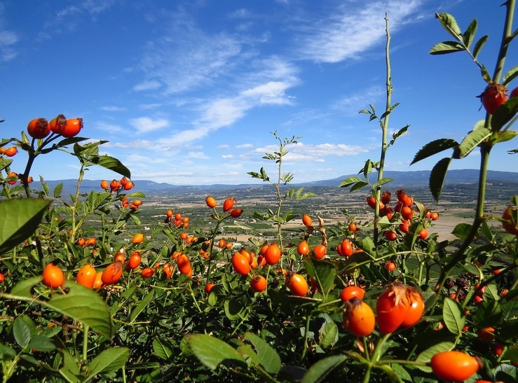 Southern France