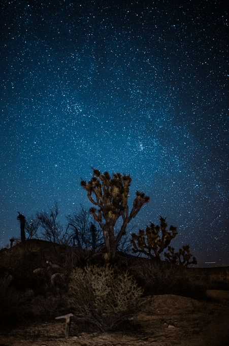 Celestial Events - Desert Constellations