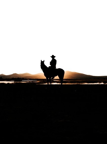 Cowboy