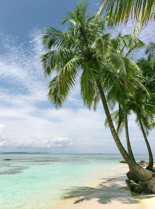 January Travel
