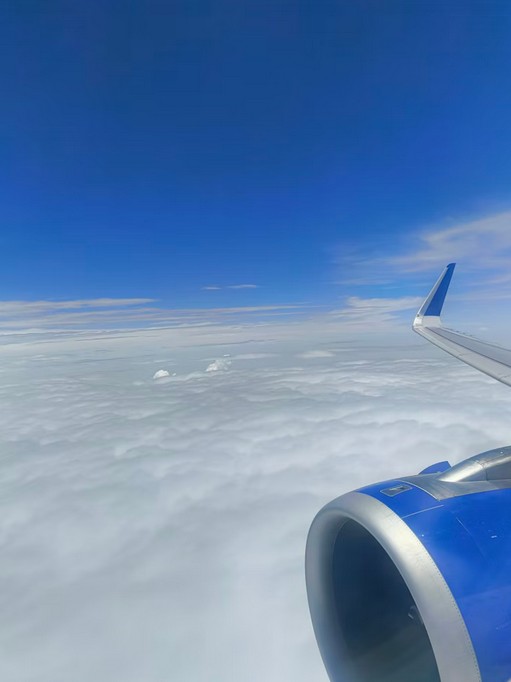 Trip