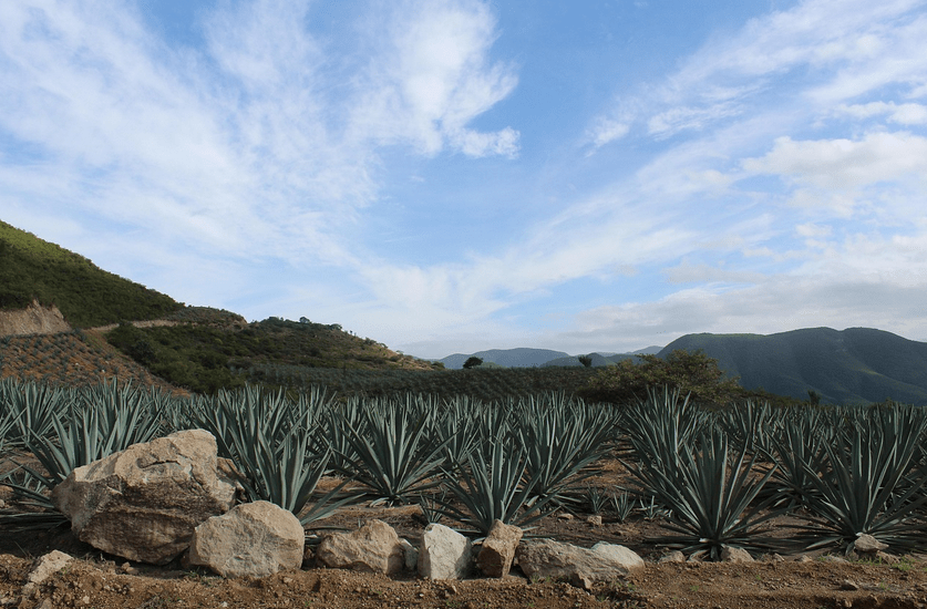 Oaxaca