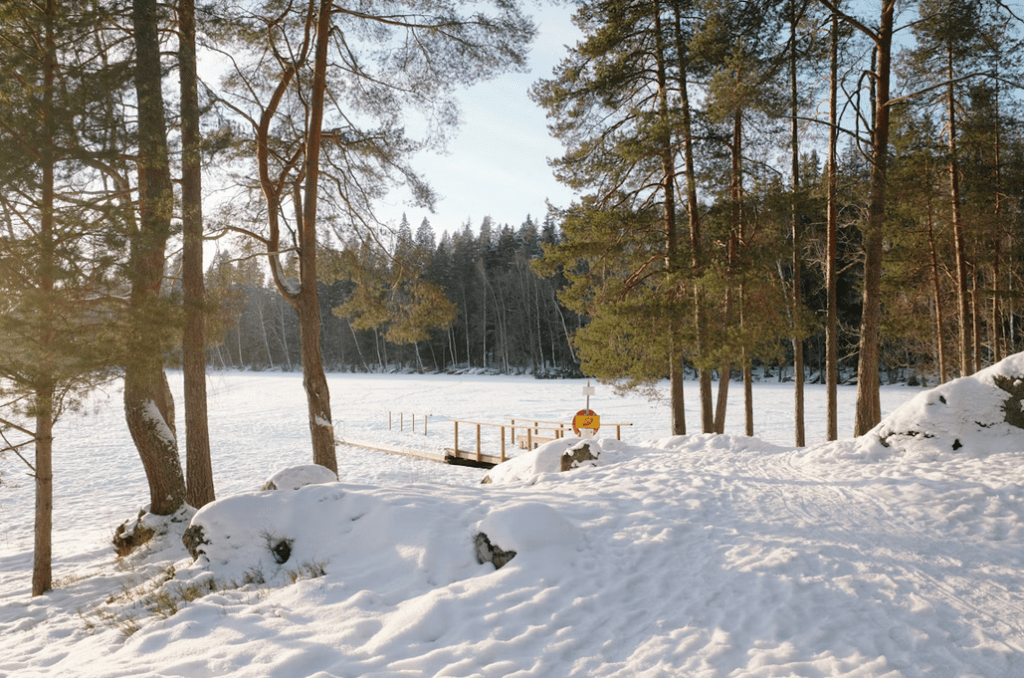 PTO - winter vacation